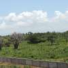 1,012 m² Residential Land at Diani Beach Road thumb 14