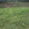Beautiful one eighth plots in Ngong thumb 0
