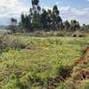 0.05 ha Land in Kikuyu Town thumb 10