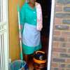 Affordable domestic workers,cleaners,cooks,gardeners,babysitters,maids,Caregivers & house boys Nairobi,Kenya. thumb 0
