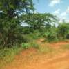 600 Acres For Sale in Mutha Region of Kitui County thumb 2
