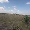 0.035 ha Land at Juja Kalimoni thumb 5