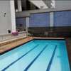Furnished 3 Bed Apartment with Swimming Pool in Riverside thumb 8