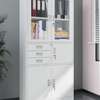 Office Cabinet: Half Glass Doors Safe Cabinet thumb 4