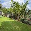 Furnished 2 Bed Apartment with En Suite in Kitisuru thumb 2