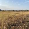 Prime 1/8  Acre Land For Sale in Juja , near Cornerbrook thumb 2