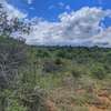10 ac Land in Nanyuki thumb 4