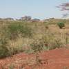 residential land for sale in Ruiru thumb 4