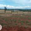 500 ac Residential Land at Lussingetti thumb 7
