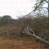 50 acres near ikoyo primary school makindu makueni county thumb 3