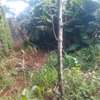 50by100 plot for sale in ruaka thumb 2