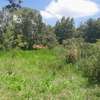 Residential Land at Karuri thumb 5