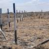 Land in Eastern ByPass thumb 6