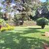 3 Bed House with En Suite at Lavington thumb 3