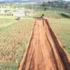 Prime residential plots in Kikuyu kamangu thumb 4