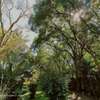 0.87 ac Land at Convent Drive thumb 0