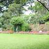 Bestcare gardeners Lavington,Kilimani,Karen,Kileleshwa thumb 6