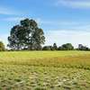 A Block of Land For Sale. thumb 2