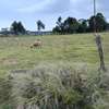 Prime land for sale-Fly  Over -Nyandarwa County. thumb 1