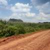 8 ACRE LAND SALE IN KAPSERET NEAR AIRPORT ELDORET thumb 4