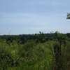 1,012 m² Residential Land in Vipingo thumb 2