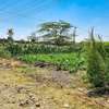 0.045 ha Residential Land at Kitengela thumb 4