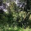 9 acre land for sale in Karen thumb 1