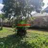 0.05 ha Residential Land at Lusigetti thumb 3