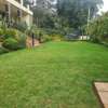 4 Bed House with Garage in Runda thumb 2