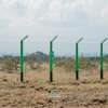 Ruiru Kamakis - Mwalimu Farm thumb 0