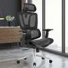 OFFICE CHAIR: Black Orthopedic Office Chair thumb 1