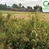 2 acres for sell at Bukembe (Bungoma) thumb 1