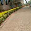 Lovely 2 Bedrooms  Apartments In Parklands thumb 1