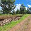 1 ac Residential Land at Kentmere thumb 5