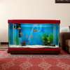Red Desktop Aquariums thumb 1
