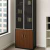 Office Cabinets: 2 Door Advanced Office Cabinet With Glass thumb 0