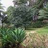 4 Bed House with En Suite in Muthaiga thumb 5