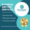 Business plan, proposal, profile writing thumb 0