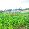 0.06 ha Residential Land at Kamangu thumb 0