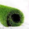 grass carpets thumb 1