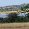 86 Acres Touching Masinga Dam Is Available For Sale thumb 0