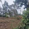 0.173 ac Residential Land at Ngong thumb 6