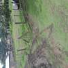 PRIME PLOT IN HOMA BAY TOWN thumb 3