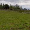 10 Acres for sale- Pipeline / Isinya rd thumb 5