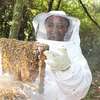 Corporate Beekeeping |  Beekeeping services for your business | Supporting Beekeepers and the Beekeeping Industry .Please contact us  thumb 3