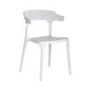 Plastic Modern dining and outdoor chair thumb 0
