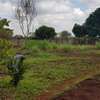 0.5 ac Residential Land at Hibiscus Drive thumb 5