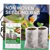 Non-woven Planting bags pack of 50pc thumb 2