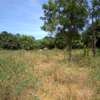 17 Acres in Malindi Gede Is Available For Sale thumb 2
