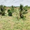 80,000 Acres Touching Galana River in Kilifi Is For Sale thumb 3